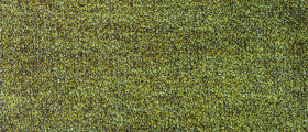catallina-50.jpg