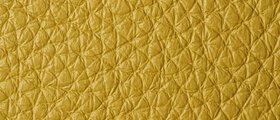 13_ROYAL_SV_6415.jpg