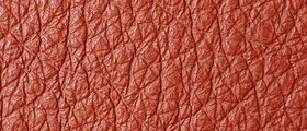 14_ROYAL_SV_4007.jpg