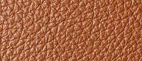 8_ROYAL_SV_6402.jpg