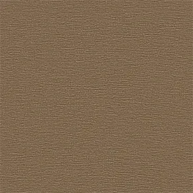 Style_23.webp